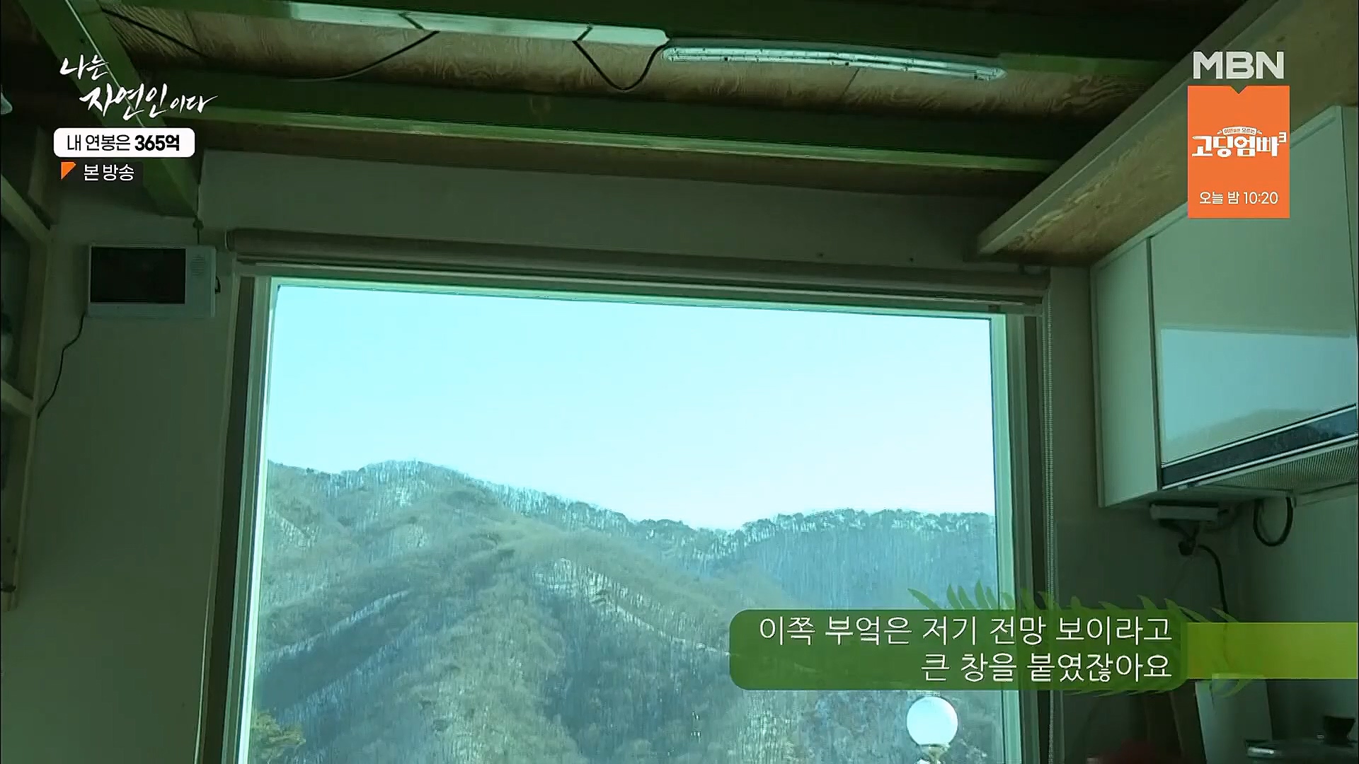 나는 자연인이다.E537.230118p.H264-F1RST.mp4_20230119_204838.065.jpg