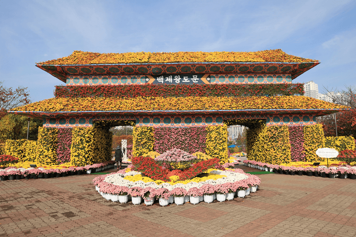 천만송이 국화축제