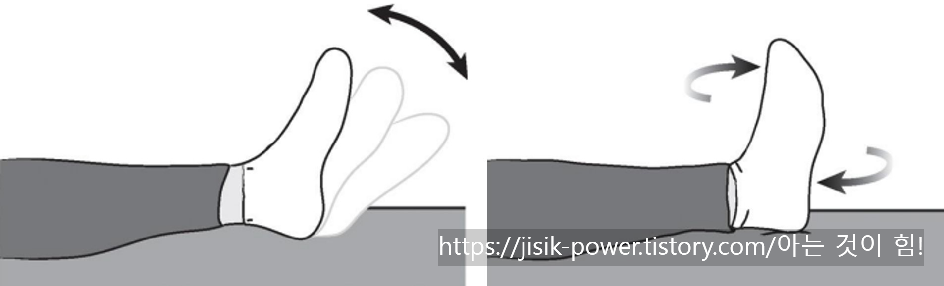 1. 발목 펌프와 회전 운동
