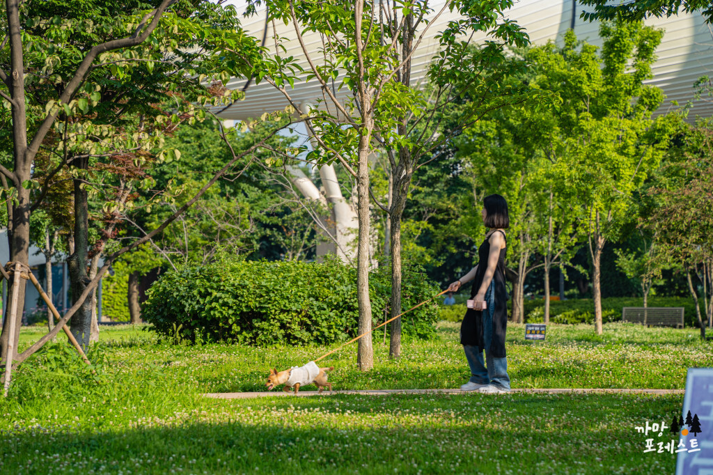 뚝섬 한강공원 산책