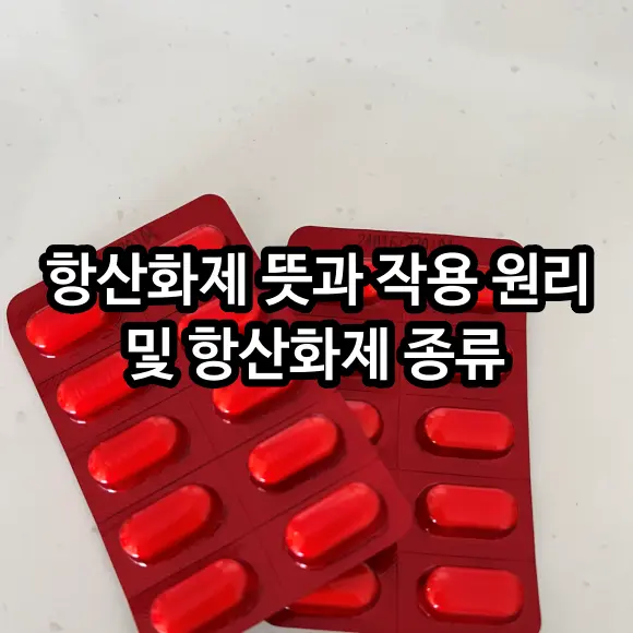 항산화제 뜻과 작용 원리 및 항산화제 종류