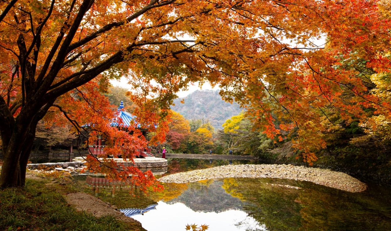 출처-내장산국립공원홈페이지