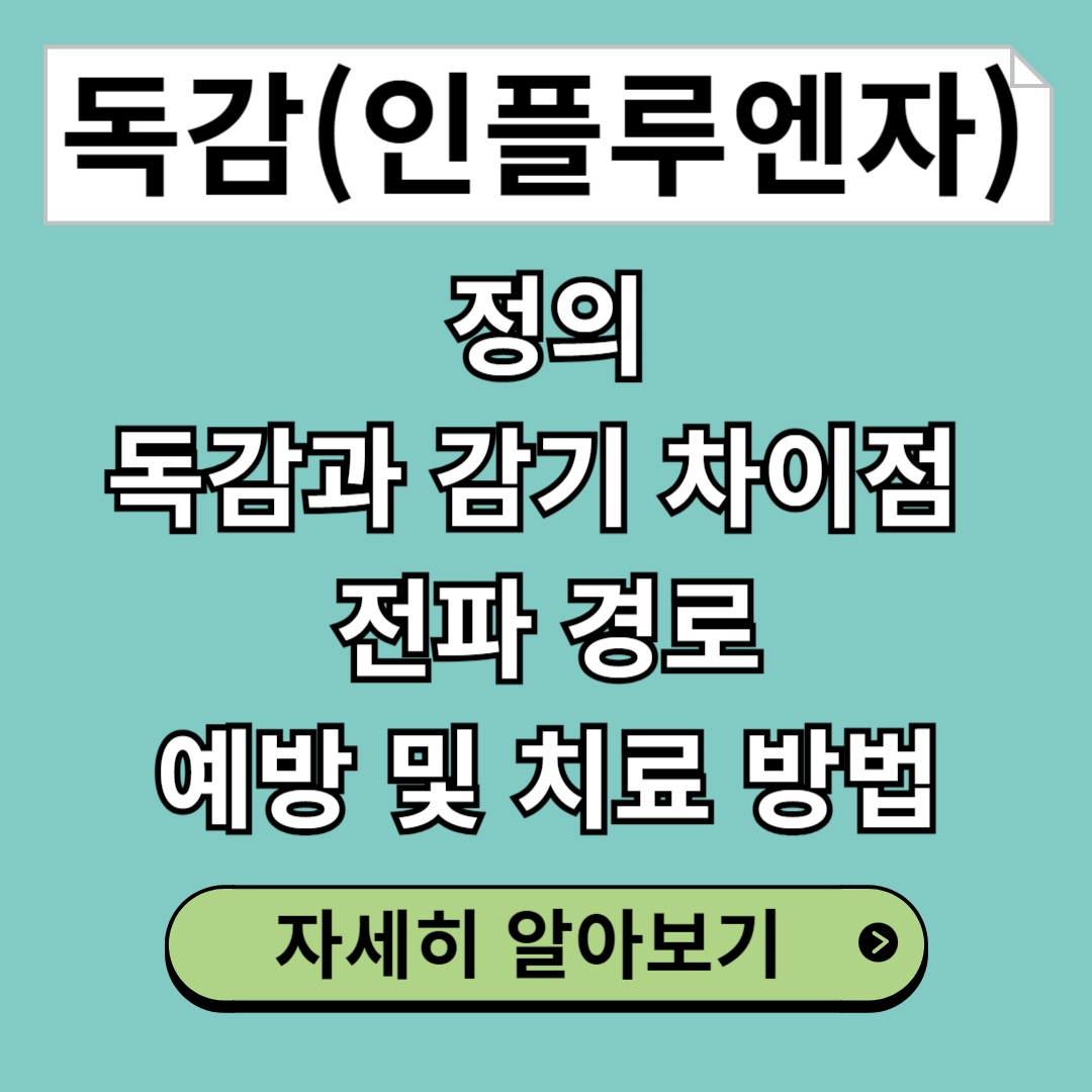 독감(인플루엔자 Influenza)과 감기 차이점, 예방 및 치료 방법