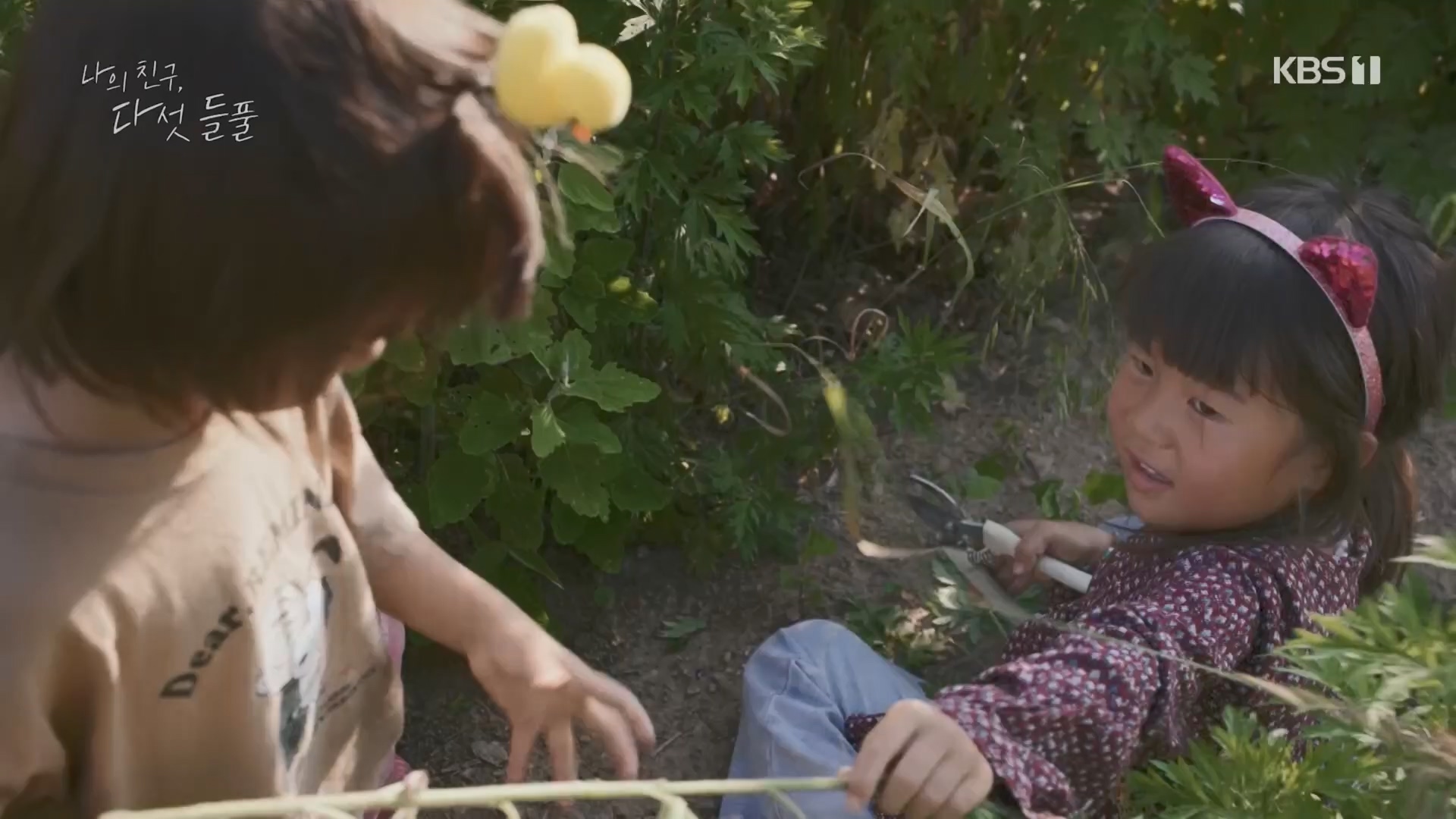 특집 다큐 나의 친구, 다섯 들풀.240119p.H264-F1RST.mp4_20240121_151734.660.jpg