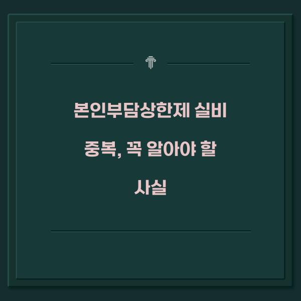 본인부담상한제 실비 중복