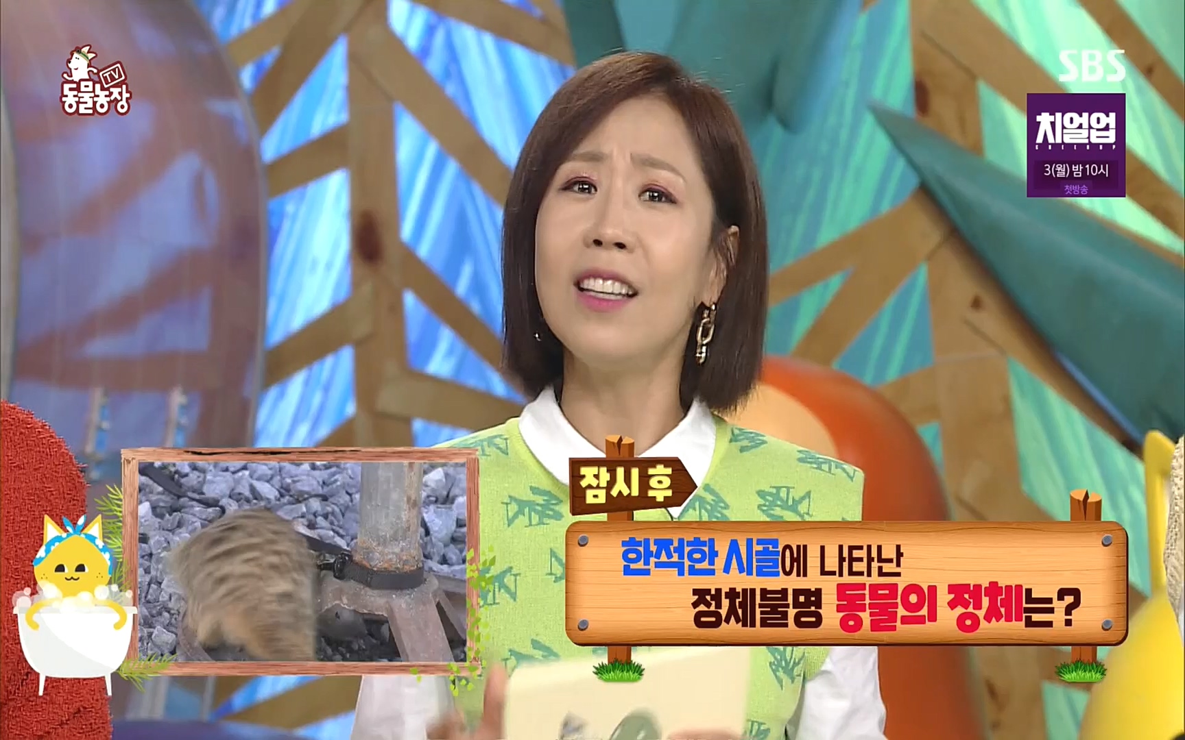 TV 동물농장.E1088.220925p.H264-F1RST.mp4_20220925_174349.164.jpg