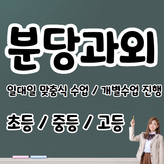  서현동수학과외 초등 중등 이매동영어과외 고등 국어 과학 개인지도 일대일 전과목수업