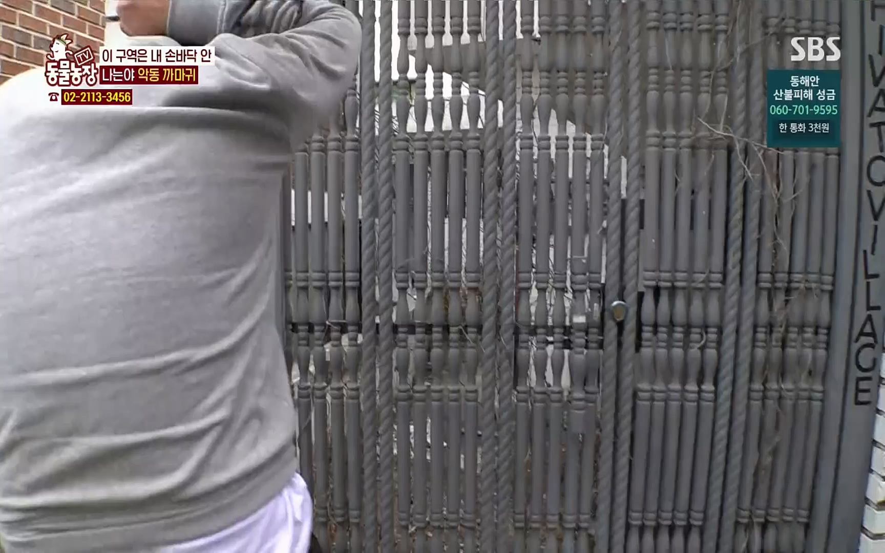 TV 동물농장.E1062.220327p.H264-F1RST.mp4_20220327_174431.248.jpg