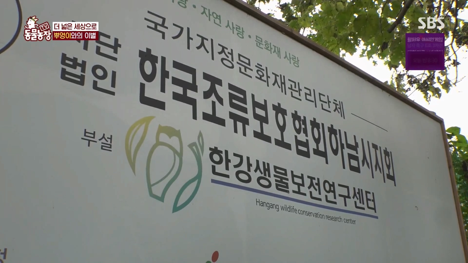 TV 동물농장.E1139.230924p.H264-F1RST.mp4_20230924_171027.001.jpg