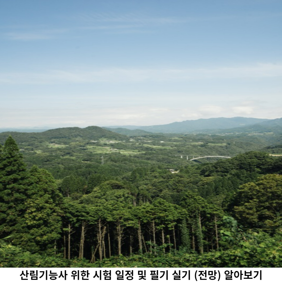 산림기능사 시험일정