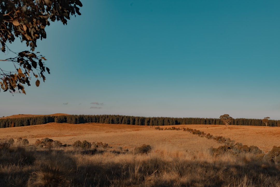range