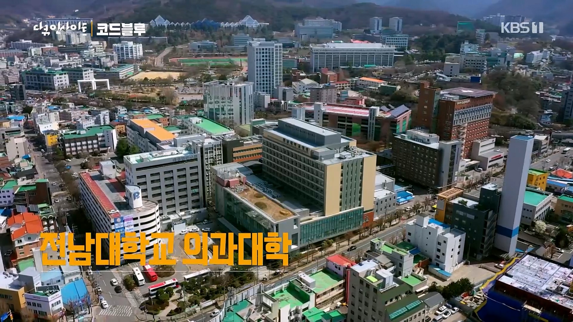 다큐 인사이트.E145.230406p.H264-F1RST.mp4_20230407_201048.396.jpg