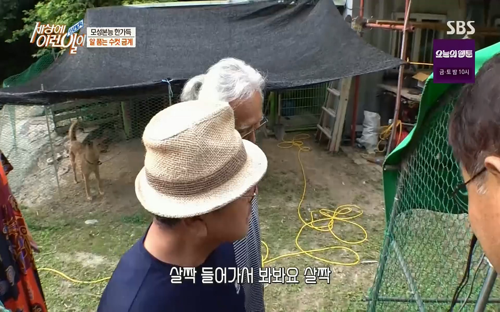 순간포착 세상에 이런일이.E1191.220802p.H264-F1RST.mp4_20220803_202131.124.jpg