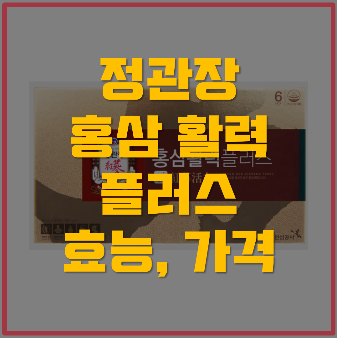  정관장 홍삼활력플러스 효능,가격
