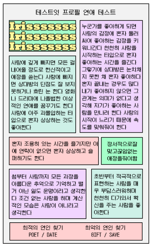 테스트잇 프로필 연애 테스트 IRIS 결과