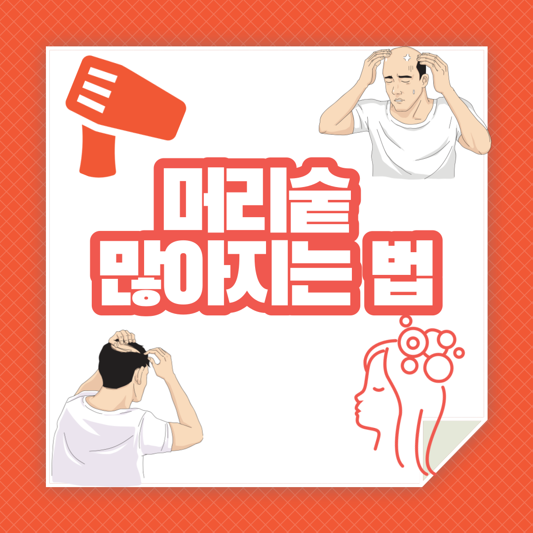  머리숱 많아지는 방법 알려드립니다.