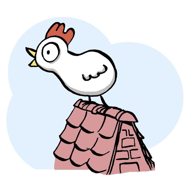 🐔 닭띠 