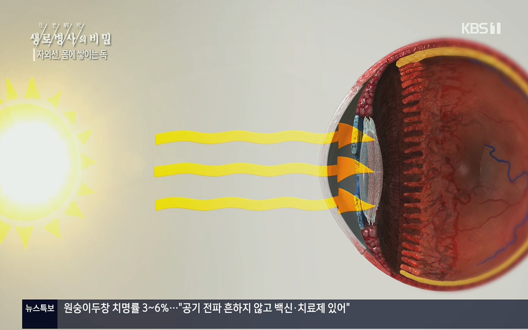 생로병사의 비밀.E824.220629p.H264-F1RST.mp4_20220630_205911.978.jpg