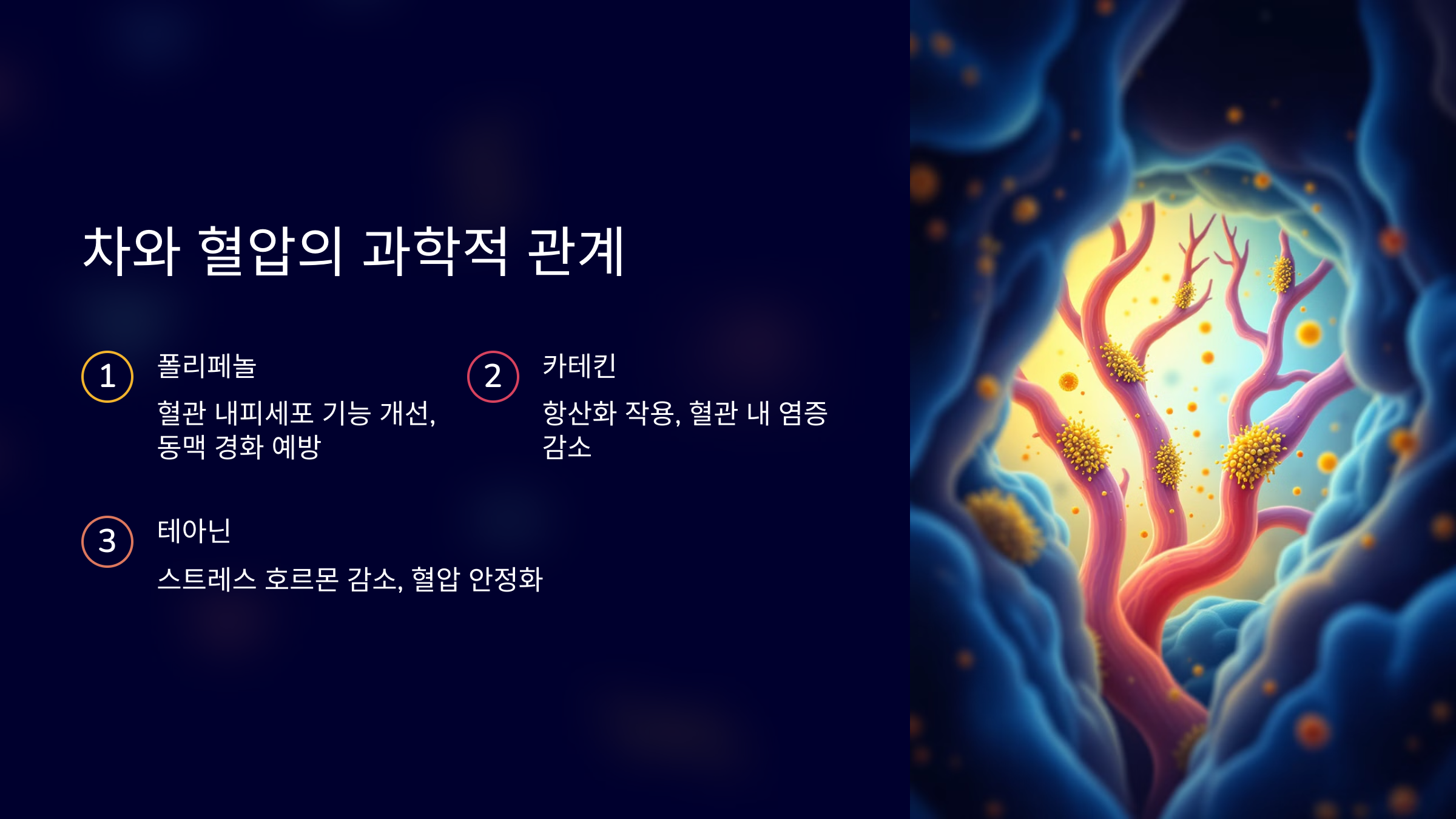 차와 혈압의 과학적 관계를 설명한 PPT 이미지