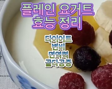 플레인-무과당-요거트-효능-다이어트-효과