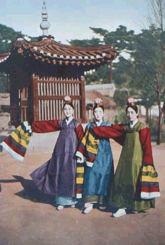 이화우 이미지