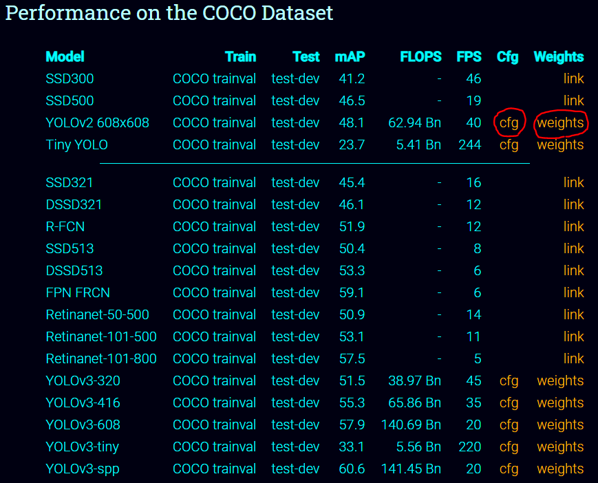 coco_dataset