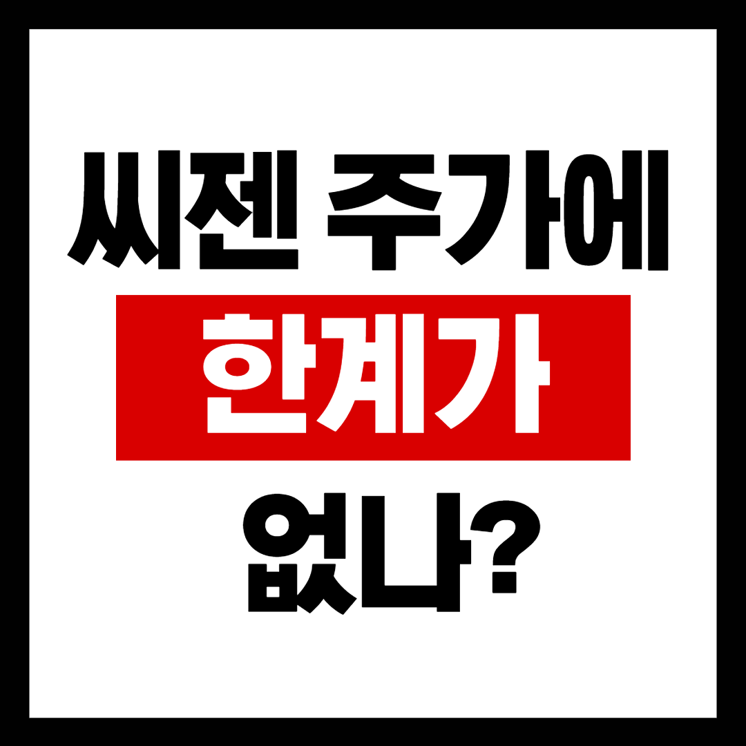  씨젠, 한계는 어디인가?