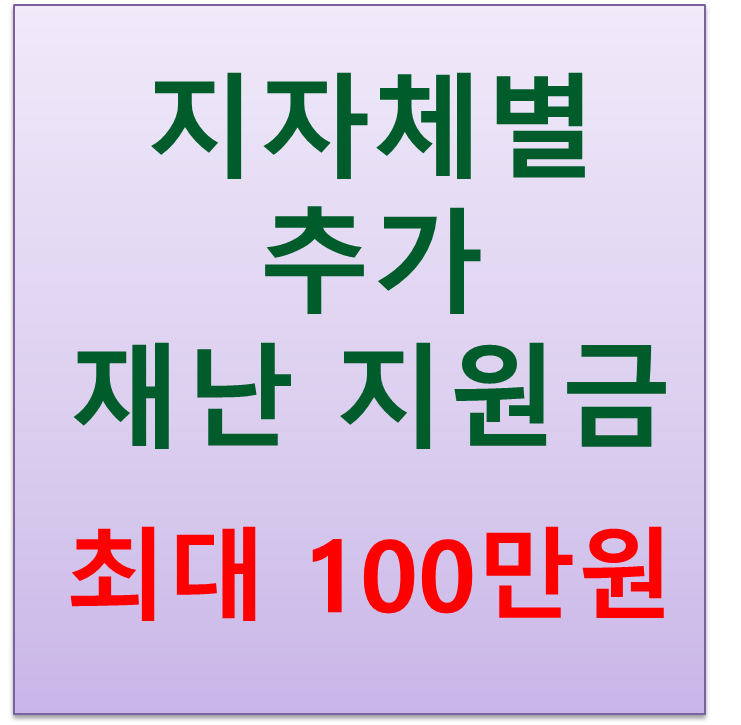  지자체 추가 재난지원금 지역별 10만원에서 100만원 지급
