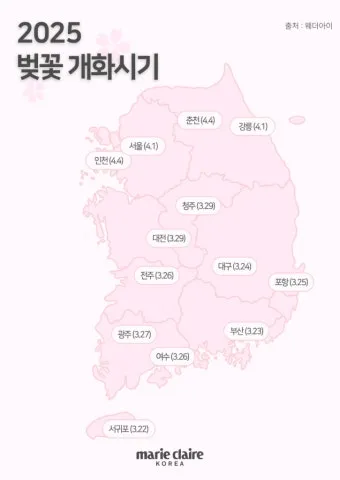 벚꽃 개화시기 2025년 지역별 모음_5