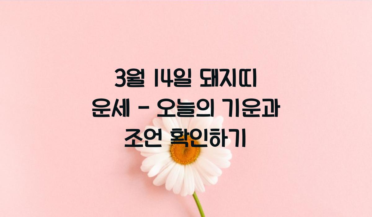3월 14일 돼지띠 운세