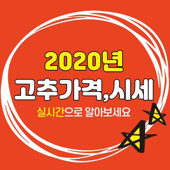  2020년 고추가격, 고추시세 실시간 확인