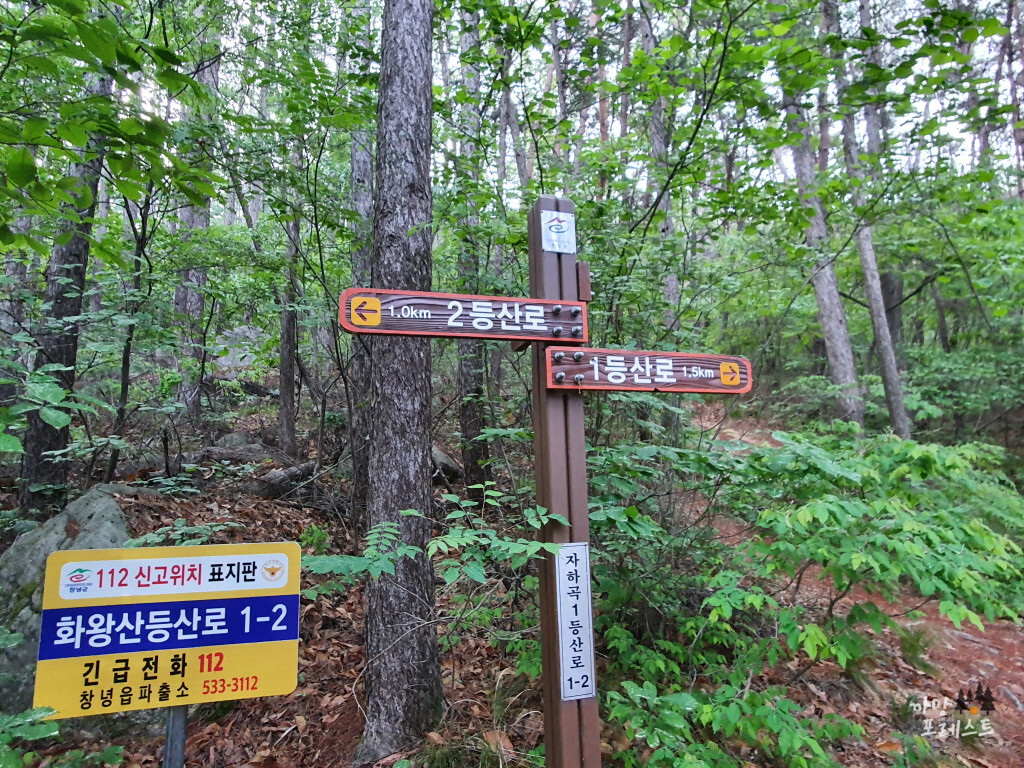 화왕산 갈림길