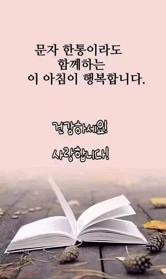  오늘의 좋은글 330번째 모든 꿈을 가치 있고 특별합니다