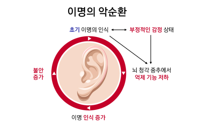 귀맞은 후 이명 원인