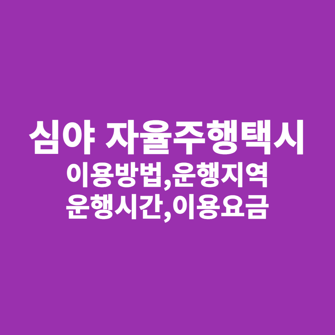 심야 자율주행택시 이용방법 운행지역 운행시간 이용요금