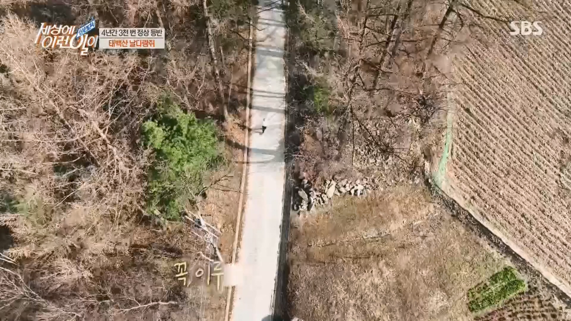 순간포착 세상에 이런일이.E1225.230411p.H264-F1RST.mp4_20230412_200256.099.jpg
