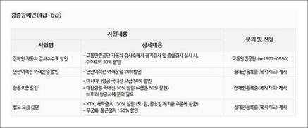 장애등급 혜택