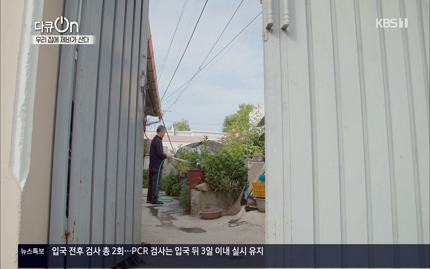 다큐 On.E143.220610p.H264-F1RST.mp4_20220613_202639.416.jpg