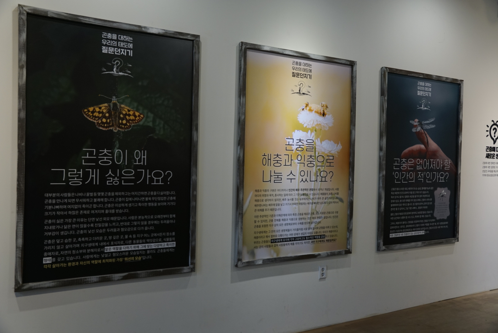 용인 곤충테마파크