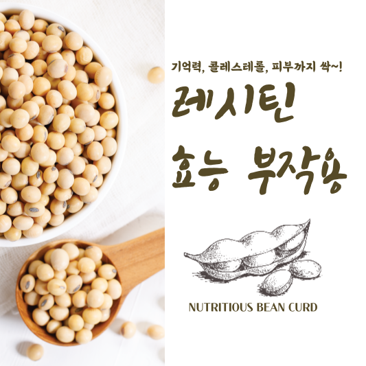 레시틴 효능 부작용