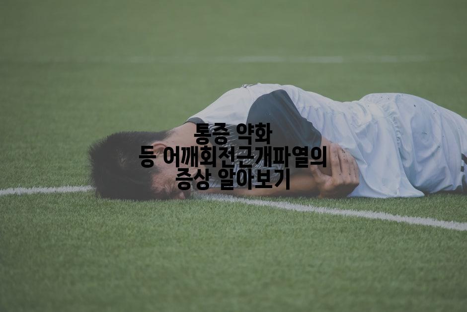 통증 약화 등 어깨회전근개파열의 증상 알아보기