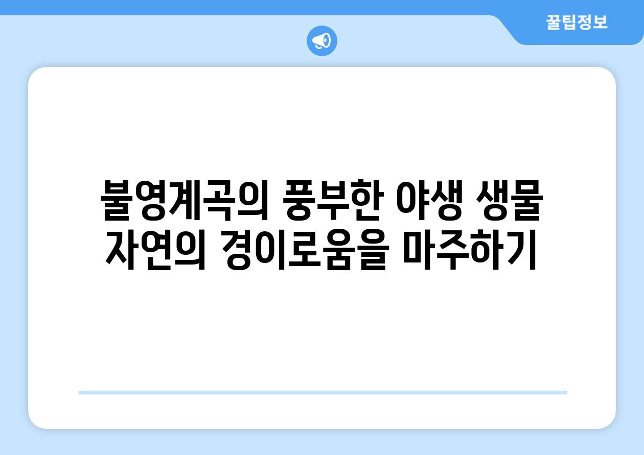 불영계곡의 풍부한 야생 생물 자연의 경이로움을 마주하기