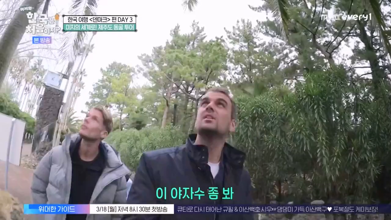 어서와 한국은 처음이지 시즌2.E304.240230p-NEXT.mp4_20240301_172045.100.jpg