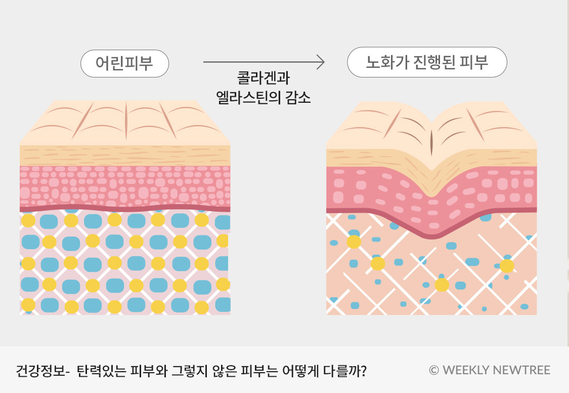 피부야 이미지