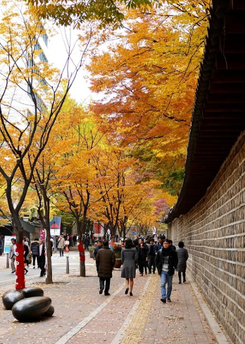 11월 서울 가볼만한곳/국내 가을 여행지 추천/데이트 여행 가족 나들이 당일치기 무료 볼거리