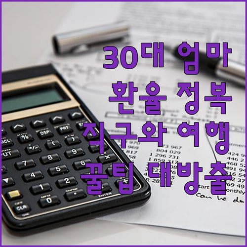 30대 엄마의 환율 정복기 해외 직구