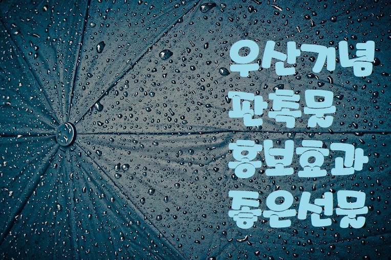  우산판촉사은선물 제작하기