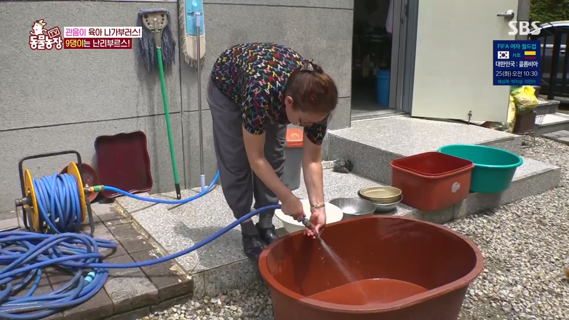 TV 동물농장.E1130.230723p.H264-F1RST.mp4_20230723_171200.419.jpg
