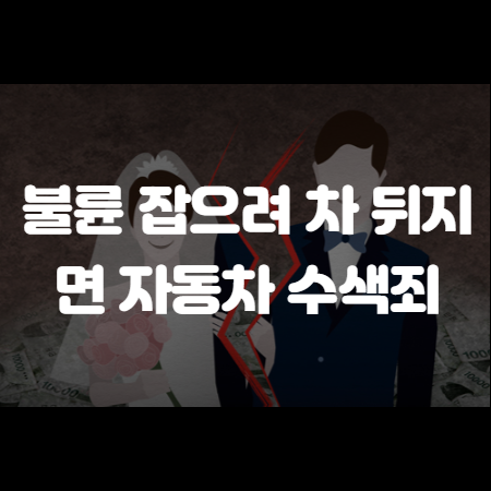 자동차 수색죄