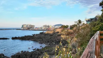 제주시볼거리 6월 제주도 여행 볼거리 제주시 볼거리 한라수목원 완벽 가이드_13